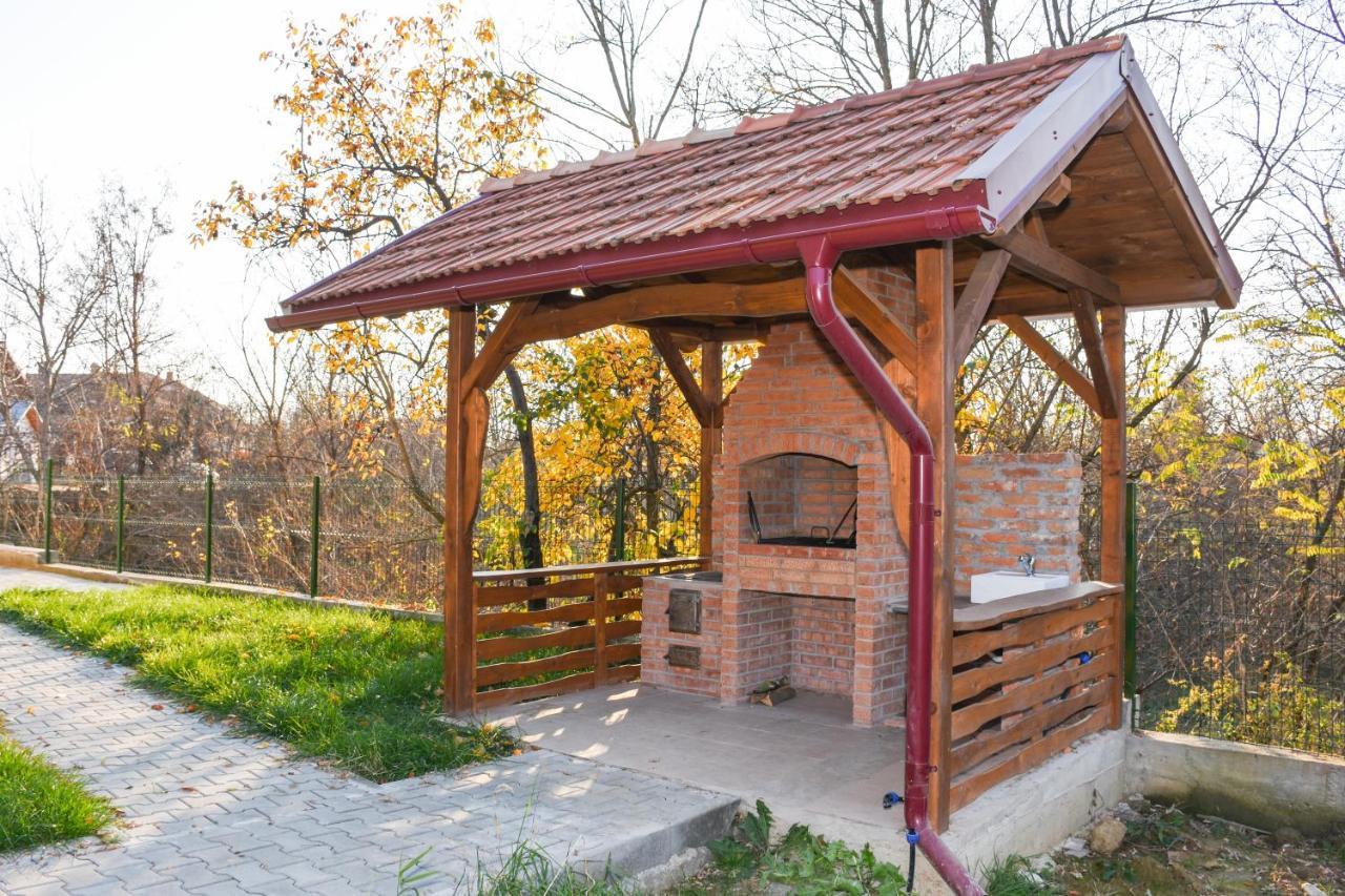 Tomis House Ξενοδοχείο Curtea de Argeş Εξωτερικό φωτογραφία